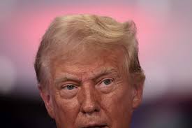 Watch: MyPillow CEO Loses Fight With 12-Year-Old Child at DNC