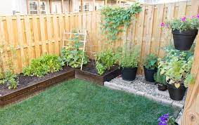 Modern Minimal Townhome For A Family Of Three And Two Cats Tiny Garden Ideas Small Backyard Gardens Backyard Garden Design