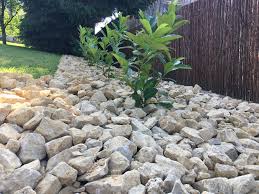 Gabionensteine Dietfurter Kalkstein Jura Grau Gelb Bruchrauh Fur Gartengestaltung 63 100 Mm Preis Erhaltlich Unter Info Natu Natursteine Natur Dietfurt