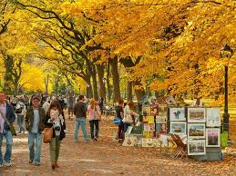 Pin On Local Happenings Events