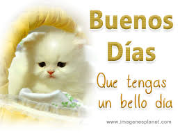 Https Encrypted Tbn0 Gstatic Com Images Q Tbn And9gcq6hkcqyz0ygibdupg Vxw0nmsmd4gv4brdg Usqp Cau