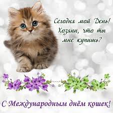 Jun 05, 2021 · часто приезжая на консультацию по поводу агрессии кошек направленной на хозяев, я сталкиваюсь с тем, что люди, по незнанию, сами формируют у кошки агрессию. Vsemirnyj Den Koshek 8 Avgusta Kartinki