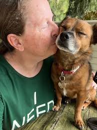 Lovely view of the Tide Mill tonight from