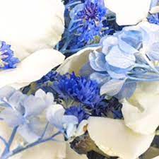 Freeze drying, otherwise called lyophilisation is a process used in many fields like pharmacy, food processors, museums, taxidermy, floral, botanicals as a method of preservation and also in labs as laboratory lyophiliser. Blue Hydrangea Blue Cornflowers Ivory Rose Petals Simply Rose Petals