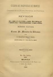 Image result for Allophylus fulvotomentosus