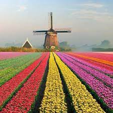 Read all about it here. Polecam Holandia Home Facebook