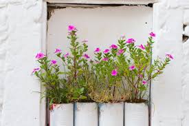 Crafts diy projects home & garden. 5 Diy Creative Planters For Your Garden House Tipster