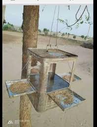 Birds That Cannot Fly In India Pin On Stress Busters