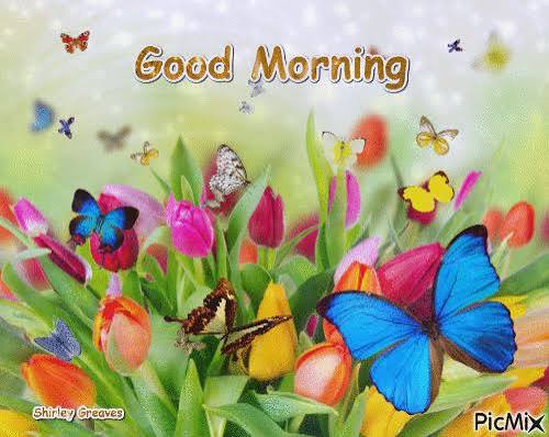 good morning