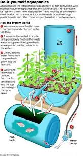 Gardeners Grow Dinner With Aquaponics Backyard Aquaponics Aquaponics Greenhouse Aquaponics System