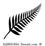 Free Art Print Of Fern New Zealand Tattoo Pattern Tattoo Marquesan Tattoos