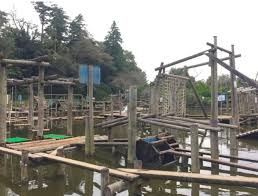 千葉で体を動かすデートのおすすめ公園は 大人も楽しめるアスレチック2選 ドラマ召すまま