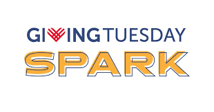 You can volunteer your time; Givingtuesdayspark