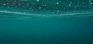 See more of atlantic bubble on facebook. The Atlantic Ocean Has Been Swamped By Microplastics
