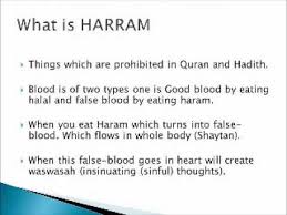 Is squid haram shia / question is octopus haram in islam ebook / in islam permitted foods are called halal, while foods that are not permitted are called haram. Halal And Haram What Is Allowed And Prohibited In Islam Wmv Youtube