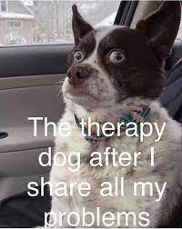 The 20 most hilarious animal memes of 2019. Bosslady356 Yahoo Com On Twitter Funny Animal Memes Animal Memes Clean Funny Animal Quotes