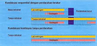 Image result for Sequential Estrogen Replacement