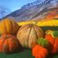 Family Crafternoon: Arty Farty Autumn Half Term event image