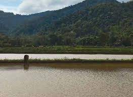 On aug 31, 1995, a national tabloid named kampung muara the temple has also been declared a historical building under the sarawak cultural heritage ordinance 1993. Megaliths Of The Kelabit Highlands Kino Kuching In Out
