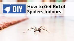 Spiders are one of the most feared and misunderstood pest that humans come into it's our senske promise to make sure you are completely satisfied. How To Get Rid Of Spiders Diy Spider Control Inside Outside