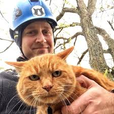 They have climbed as high as 175 feet to save the cats.