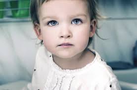 PHSL-2008 ANNUAL REPORT-REV 10.23.09.indd