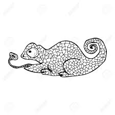 Vektor Illustration Von Chamaleon Mit Doodle Muster Ausmalbilder Zendala Design Fur Entspannung Fur Erwachsene Lizenzfrei Nutzbare Vektorgrafiken Clip Arts Illustrationen Image 66495119