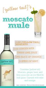 Pin By Natalie Lynn On Raise Your Glass Mixed Drinks Recipes Moscato Drinks Wine Mixed Drinks