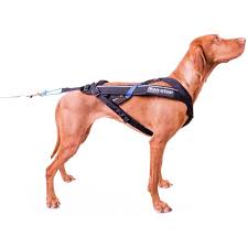 Global action star liam neeson is u.s. Non Stop Dogwear Freemotion Harness 111 Geschirr Fur Alle Sportarten Lauflust De