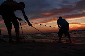 صور لصيادين على شاطئ بحر غزة المحاصر animals elephant fisherman
