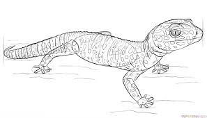 Black And White Leopard Gecko Drawing How To Draw A Leopard Gecko Step By Step Drawing Tutorials In 2020 Leopard Gecko Gecko Coloring Pages
