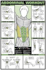 Co Ed Back Workout Professional Fitness Gym Wall Chart