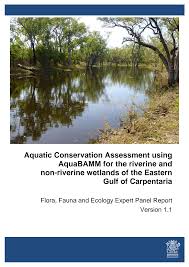 Image result for Lipocarpha atra