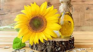 Minyak bunga matahari, yang dibuat dari ekstrak biji bunga matahari merupakan salah satu minyak yang menyehatkan dan ideal untuk dikonsumsi. 5 Manfaat Luar Biasa Sunflower Oil Untuk Kecantikan Kulit