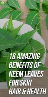 Neem leaves are additionally great at dealing with poisons as well as insects bites. 54 Natural Health Tips Ideas Natural Health Tips Natural Health Health Tips