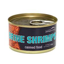 But cherry shrimp so make a nutritious snack for your. Canned Brine Shrimps Betta Solutions