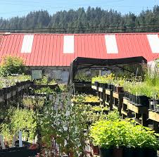 10% discount for orders of 1 lb or more. California Native Plant Society Fall 2020 Native Plant Sale Nec