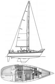 HUNTER 31