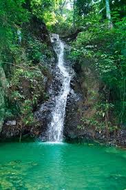Bukan sahaja air terjun, tetapi terdapat pelbagai tarikan di sini seperti jambatang gantung, air terjun untuk mandian, keindahan flora dan fauna serta banyak lagi. Kubang Pasu Khazanah Kubang Pasu Air Terjun Wang Perah Facebook