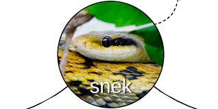 How Lucidchart S Animal Explainers Became One Of Today S Most Beloved Ad Campaigns