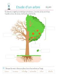 Epingle Sur Provisoire