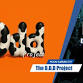 The O.D.D Project  at Room Garden City — Room art event image