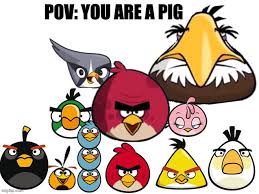 His cynical outlook has kept him at odds with the other birds, but a bit of cynicism might be just what they need. Angry Birds Jump Pig Wiki Clip Art Monkey King Pig Page 1 Line 17qq Com Lacasitademiller