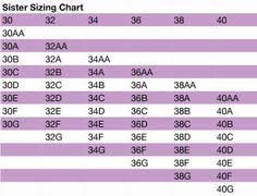 36b bra size chart 2019