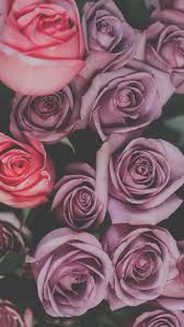 Maybe you would like to learn more about one of these? 29 Romantic Roses Iphone X Wallpapers Preppy Wallpapers