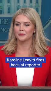 Karoline Leavitt Addresses Elon Musk Tweet Confusion