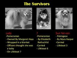 Image Result For Pomeranian On Titanic Titanic Pomeranian Puppy Pekingese
