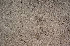 Foot, along with estimated cost to remove asbestos and replace with knockdown or other retextured ceilings. Asbestos Popcorn Ceiling Removal In South Florida Asbestos Removal