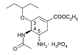 Tamiflu Oseltamivir Phosphate Side Effects Interactions
