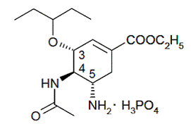 tamiflu oseltamivir phosphate side effects interactions